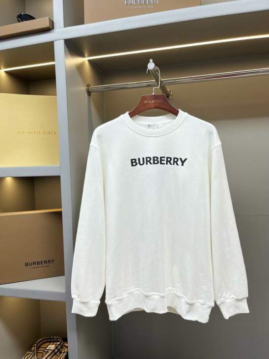Picture of Burberry Sweatshirt _SKUBurberryS-2XLaztx860130942
